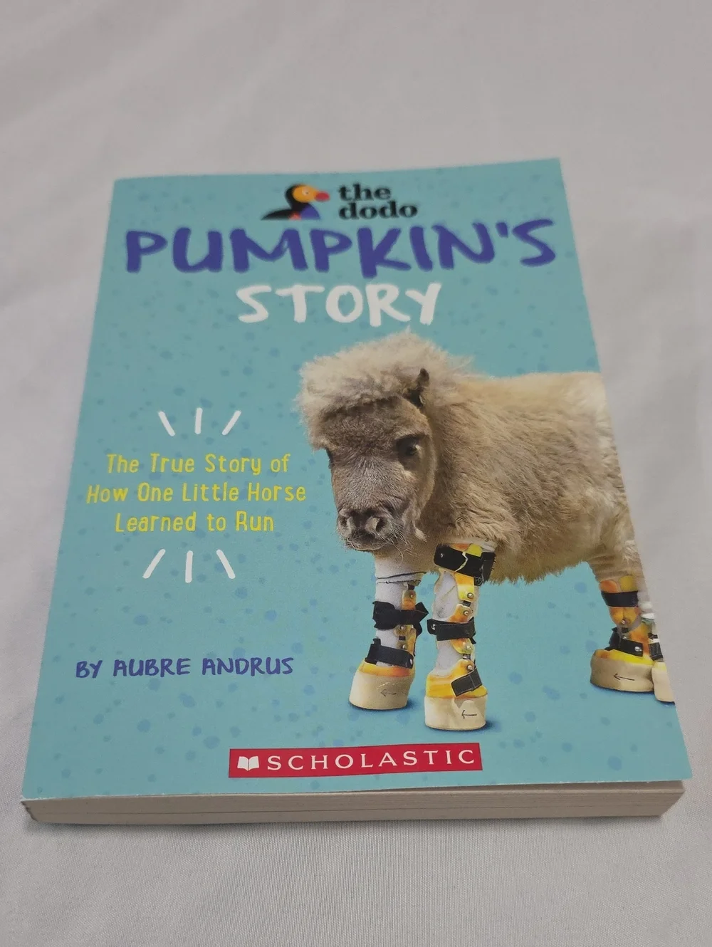 Scholastic: Pumpkin's Story By Aubre Andrus